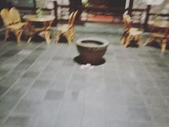 -森谷美食公园(杨行店)