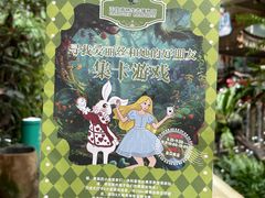 -正佳雨林生态植物园