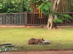 -海南热带野生动植物园