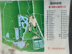 -西青郊野公园