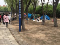 -森林公园(尖草坪区)