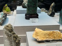 -湖南省地质博物馆