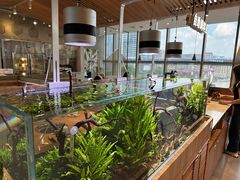 -池云涧自然椰子鸡(万泰汇店)