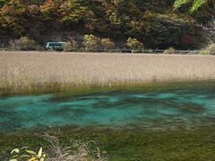 -九寨沟-树正沟