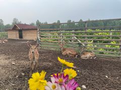 -安德鲁户外烧烤帐篷营地(马泉营店)