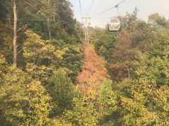 -紫金山索道-售票处