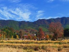 -塔川景区