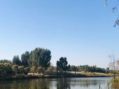 -东郊湿地公园
