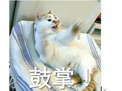 -H次元沉浸剧情密室(街道口店)