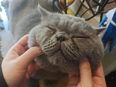 -平行世界·猫咖(首经贸店)