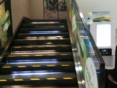 -眉州东坡(民族园店)