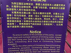 -广州长隆国际大马戏