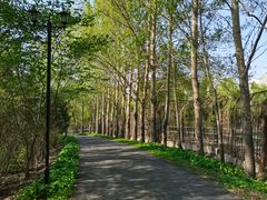 -黑龙江省森林植物园