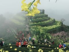 -石潭村