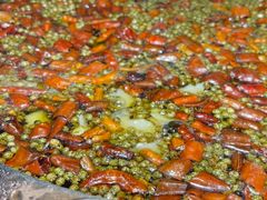 -雲蜀龙阁·金牌水煮鱼(方庄店)