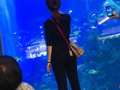 -成都浩海立方海洋公园