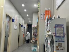 -爱佳宠物中心医院24H·CT·骨外科·猫专科(瑶海万达店)