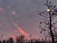 -青岛市江苏路基督教堂