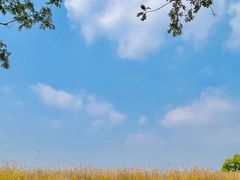 -良渚古城遗址公园