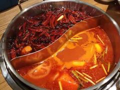 -青瓷火锅料理(西单大悦城店)