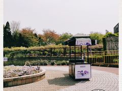 -嘉定紫藤园