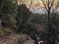 -杭州半山国家森林公园