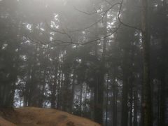 -井冈山风景名胜区-黄洋界