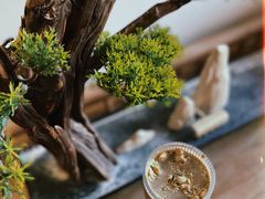 茉莉拿铁铁-自如ZSPACE四合院艺术餐厅