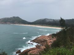 -广东惠东海龟国家级自然保护区
