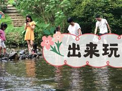 -广州市石门国家森林公园
