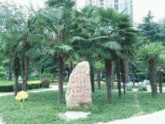 -渭滨公园