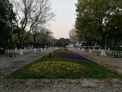 -圩墩遗址公园