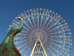 -七彩云南欢乐世界