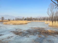 -野鸭湖国家湿地公园