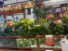 -洞庭家宴·头牌甲鱼(广渠门店)