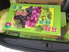 -马陆小张葡萄园农家乐