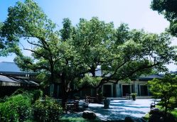 -东航云逸酒店·宴会厅