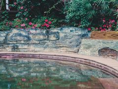 -剑河仰阿莎温泉小镇