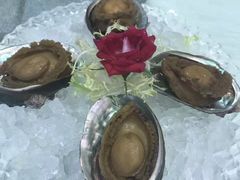 -海都六福酒家(世博广场店)