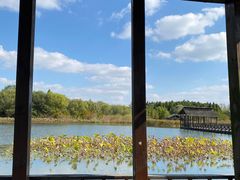 -溱湖国家湿地公园