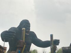 -太阳部落