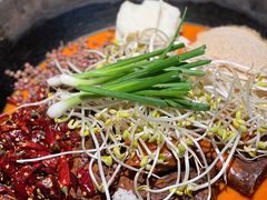 -四小区火锅·巷子里的重庆火锅(花照壁店)