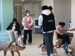 -怪兽屋·羊驼·猫咖·狗咖(俊华广场店)