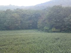 -南山风景名胜区