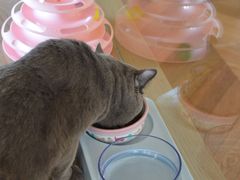 -Me Coffee下午茶艺术空间