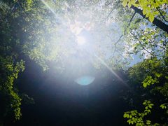 景点-牛背梁国家森林公园