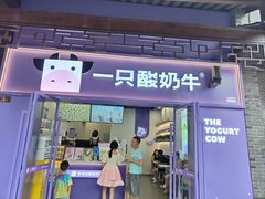-一只酸奶牛(八一路店)