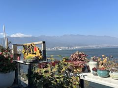 -野菌皇海景野生菌火锅(滨海大道店)