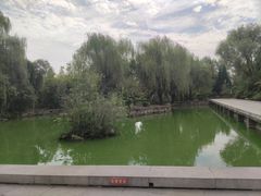 -洛阳白马寺