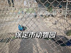 -保定市动物园
